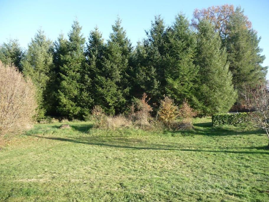 Des Forces - Limousin - Haute Vienne Saint-Bazile